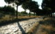 Appia antica 2 7 05 062